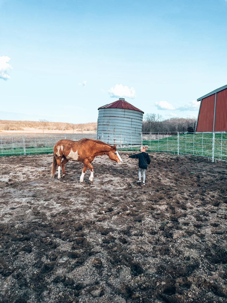 A Little Girl with a Big Love for Horses