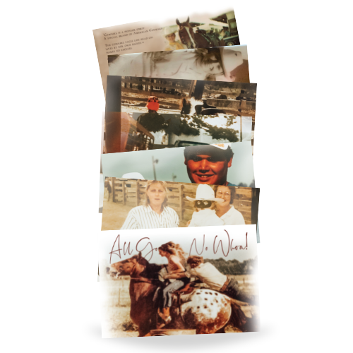 The Cowgirl State of Mind Postcard Bundle